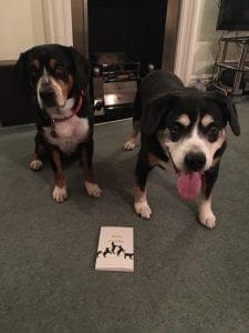 Alfie and Wilma excited about the Dog Poems book arriving