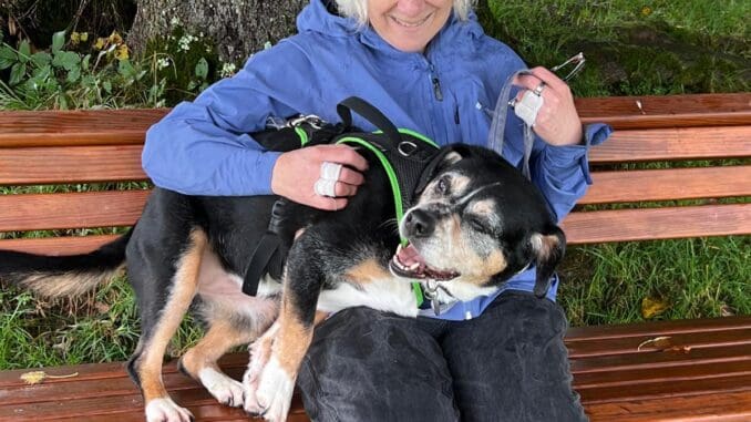 02fbb892-ae37-415f-976a-76708ba2ca60